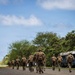 A group of military personnel in camouflage uniforms and tactical gear are marching along a paved road in a lush, green environment. They are carrying backpacks and appear to be on a training exercise or patrol. An old, weathered blue bus is parked on the right side of the road near dense vegetation.