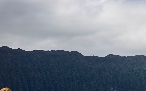U.S. Marines with 3rd LCT participate in a basic skills package