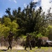 A group of military personnel in camouflage uniforms are conducting what appears to be a field training exercise in a tropical or subtropical outdoor environment. Several soldiers are moving in formation, with at least two carrying shoulder-mounted weapons systems. A tan/beige military tactical vehicle (JLTV or similar) is visible on the right side of the frame.
