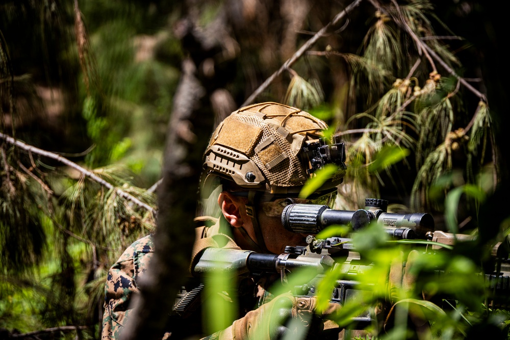 A military service member in woodland/forest terrain is seen aiming a rifle equipped with an optical scope. The soldier is wearing digital camouflage (MARPAT pattern consistent with USMC), a tan tactical helmet with night vision device mount, and is partially concealed by dense vegetation. The image captures a training or operational scenario in a forested environment.