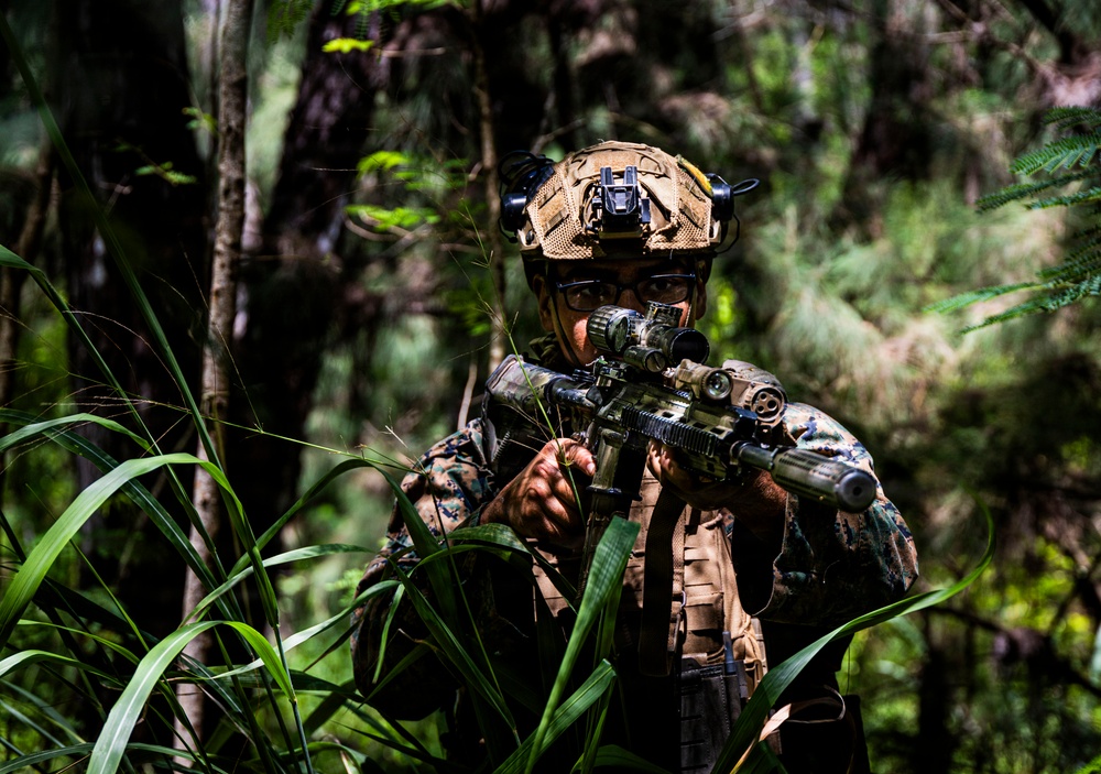 A soldier in full combat gear is positioned in a dense jungle or forest environment, aiming a rifle equipped with an optical scope. The individual is wearing camouflage uniform, a tactical helmet with night-vision device mount, and appears to be in a patrol or reconnaissance posture. The setting suggests a military training exercise or operational deployment in a tropical woodland environment.