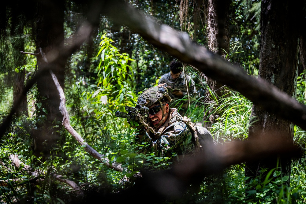 Two military personnel in full combat gear are positioned in dense jungle or forest undergrowth. The foreground soldier is aiming a rifle with an optical scope while wearing a camouflage helmet and tactical sunglasses. A second soldier is visible in the background, appearing to consult a device or map.