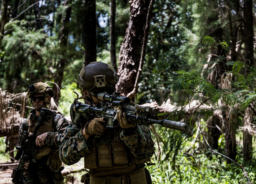 Two military personnel in woodland camouflage uniforms are conducting a patrol or tactical exercise in a dense forested environment. The foreground soldier is aiming a rifle equipped with a suppressor and optical scope, while the second soldier stands in a security posture behind. The setting appears to be a training exercise based on the controlled environment and equipment configuration.