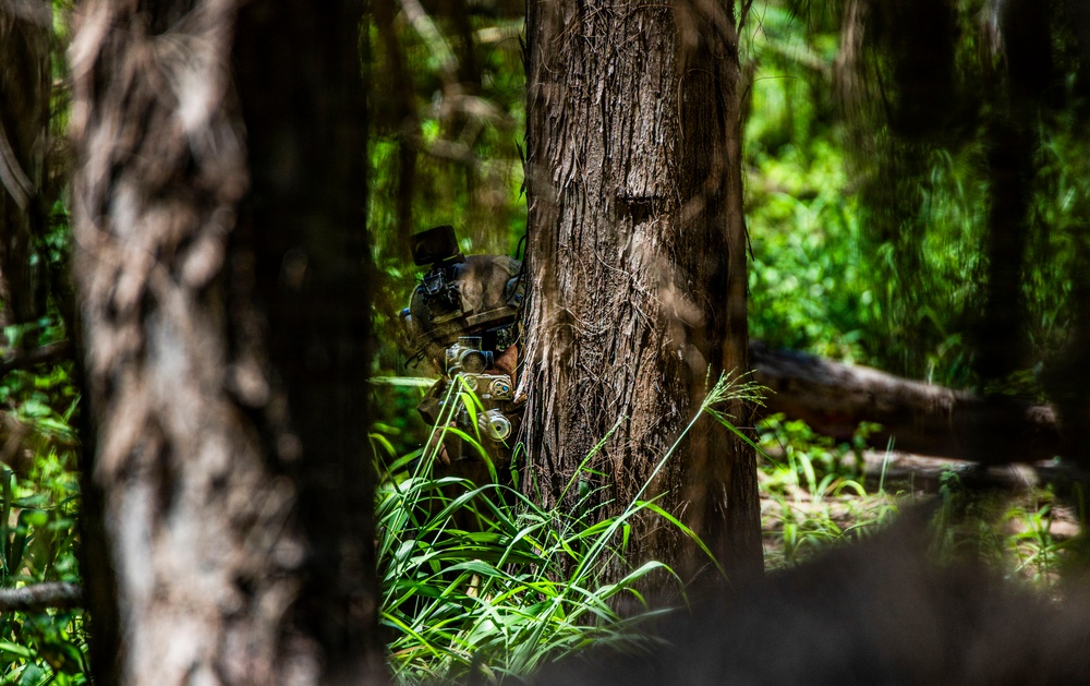 A camouflaged individual, likely a soldier or tactical operator, is partially concealed behind a large tree trunk in a dense forest environment. The person is equipped with tactical gear including what appears to be a helmet with mounted optics and a firearm. The image uses shallow depth of field, with foreground trees blurred, drawing focus to the partially hidden figure.