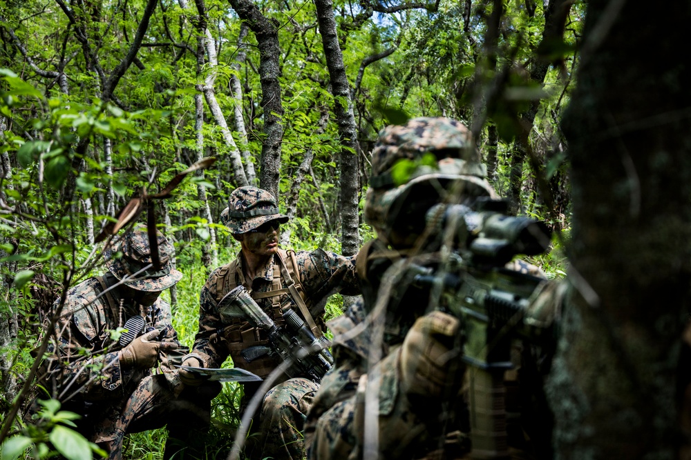 Three military personnel in woodland camouflage uniforms are conducting a patrol or tactical exercise in a dense forest environment. The soldiers are armed and appear to be in a coordinated formation, with one soldier aiming a rifle while another appears to be providing hand signals or direction. The lush green vegetation and deciduous trees suggest a temperate forest setting.