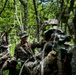 Three military personnel in woodland camouflage uniforms are conducting a patrol or tactical exercise in a dense forest environment. The soldiers are armed and appear to be in a coordinated formation, with one soldier aiming a rifle while another appears to be providing hand signals or direction. The lush green vegetation and deciduous trees suggest a temperate forest setting.