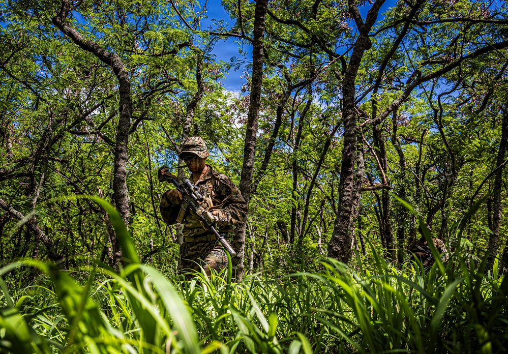 A soldier in camouflage uniform moves through dense tropical woodland while carrying a rifle. The image appears to depict a military patrol or field exercise in a lush, green forested environment. A second figure is partially visible in the background to the right.