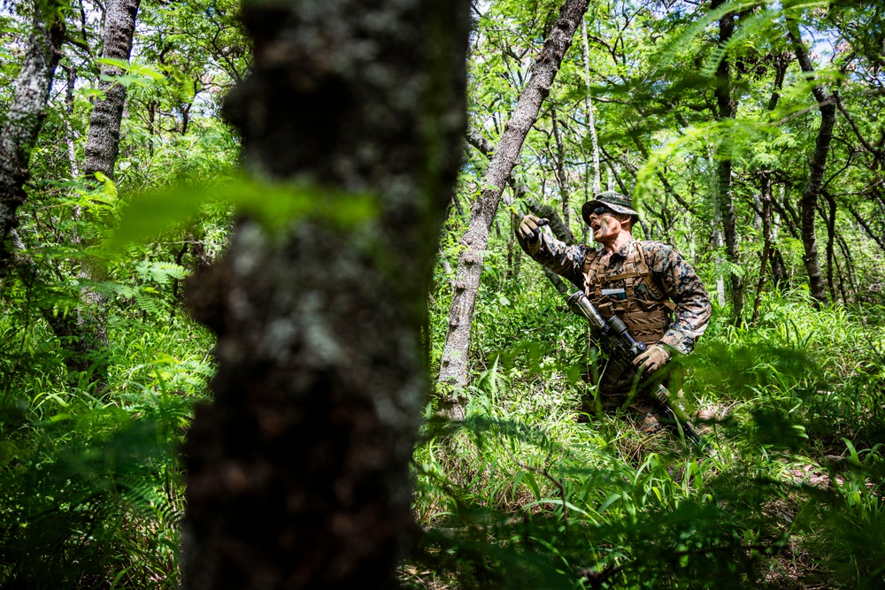A military service member in woodland camouflage uniform navigates through dense forest terrain. The individual appears to be shouting or calling out while moving through thick undergrowth and trees. The setting suggests a field training exercise or patrol operation in a lush, green forested environment.