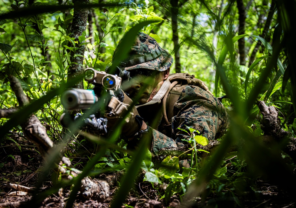 A soldier in digital camouflage uniform is lying prone in dense forest undergrowth, aiming a rifle equipped with an optical scope. The individual appears to be in a tactical observation or sniper position, concealed by vegetation. The setting suggests a military training exercise or field operation in a wooded environment.
