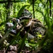 A soldier in digital camouflage uniform is lying prone in dense forest undergrowth, aiming a rifle equipped with an optical scope. The individual appears to be in a tactical observation or sniper position, concealed by vegetation. The setting suggests a military training exercise or field operation in a wooded environment.