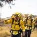 Plaskett Fire