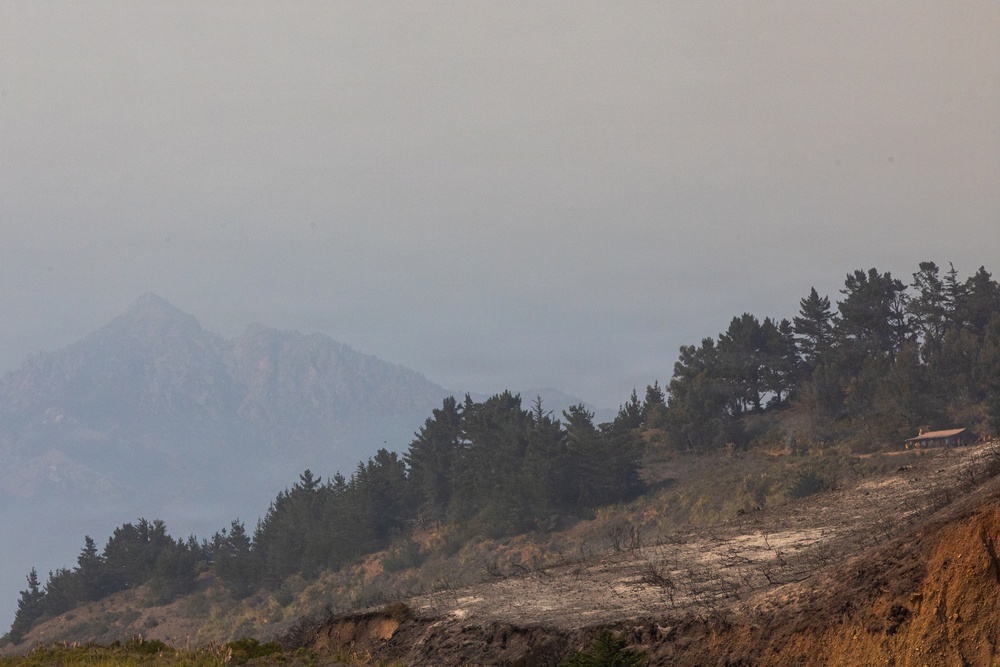 A hazy coastal or mountainous landscape showing a ridgeline covered with conifer trees, with a small structure visible at the upper right. The foreground shows scorched, ash-covered terrain with charred vegetation, suggesting recent wildfire activity. Distant mountains and what appears to be a body of water are visible through heavy smoke or haze in the background.
