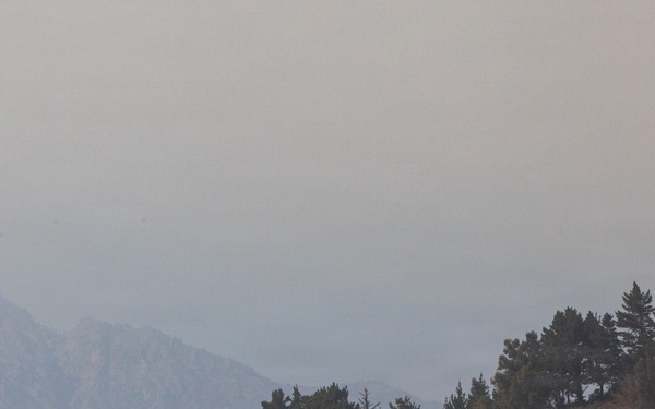 Plaskett Fire