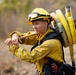 Plaskett Fire