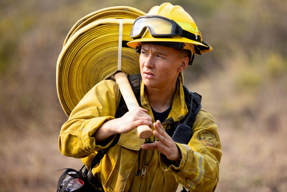 A young firefighter in full yellow turnout gear carries a coiled fire hose over their shoulder along with a hand tool, likely a Pulaski axe. They appear to be working in a wildland or wildland-urban interface firefighting context, based on their equipment and the dry, brushy terrain visible in the background. A patch on their jacket reads 'Contra Costa,' indicating affiliation with Contra Costa County Fire Protection District in California.