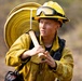 Plaskett Fire