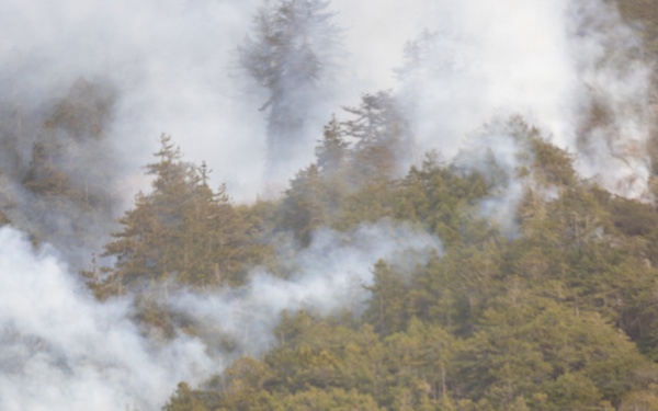 Two wildland firefighters in yellow shirts and green pants are working on a residential rooftop, appearing to deploy protective fire-resistant wrap or sheeting to defend the structure. A large wildfire is actively burning on a forested hillside directly behind them, with heavy white and gray smoke billowing through the tree canopy. The scene depicts a structure protection operation with the fire posing an imminent threat to the building.