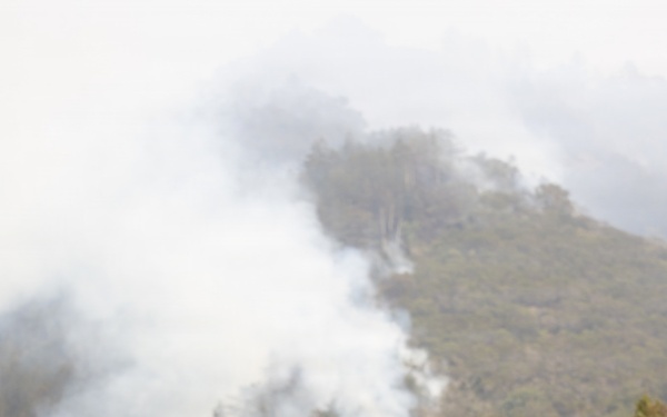 Two firefighters in yellow protective gear are on the roof of a structure, deploying what appears to be fire-resistant wrap or protective sheeting to defend the building from an approaching wildfire. A heavily forested hillside or mountain is visible in the background, with multiple columns of smoke rising from active fire burning through the vegetation. The scene depicts active structure protection operations during a wildfire event.
