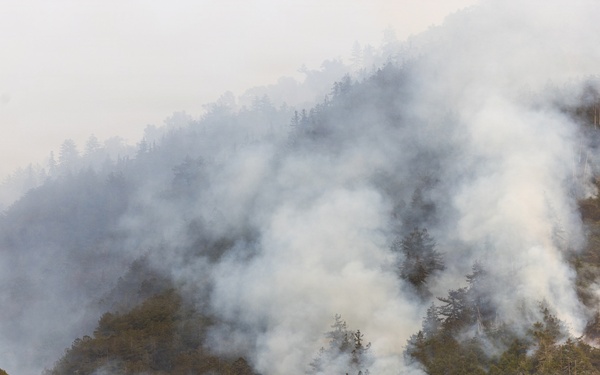 Plaskett Fire