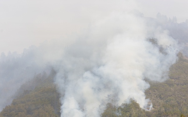 Plaskett Fire