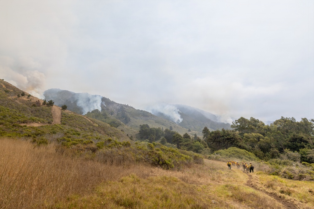 A wildfire is burning across a hilly, vegetated landscape with multiple smoke columns rising from the ridgelines. A crew of firefighters wearing yellow high-visibility gear is walking along a dirt trail in the foreground, moving toward the fire. The terrain consists of dry grasslands, shrubs, and scattered trees under a smoke-hazed sky.