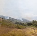 Plaskett Fire