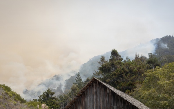 Plaskett Fire