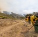 Plaskett Fire