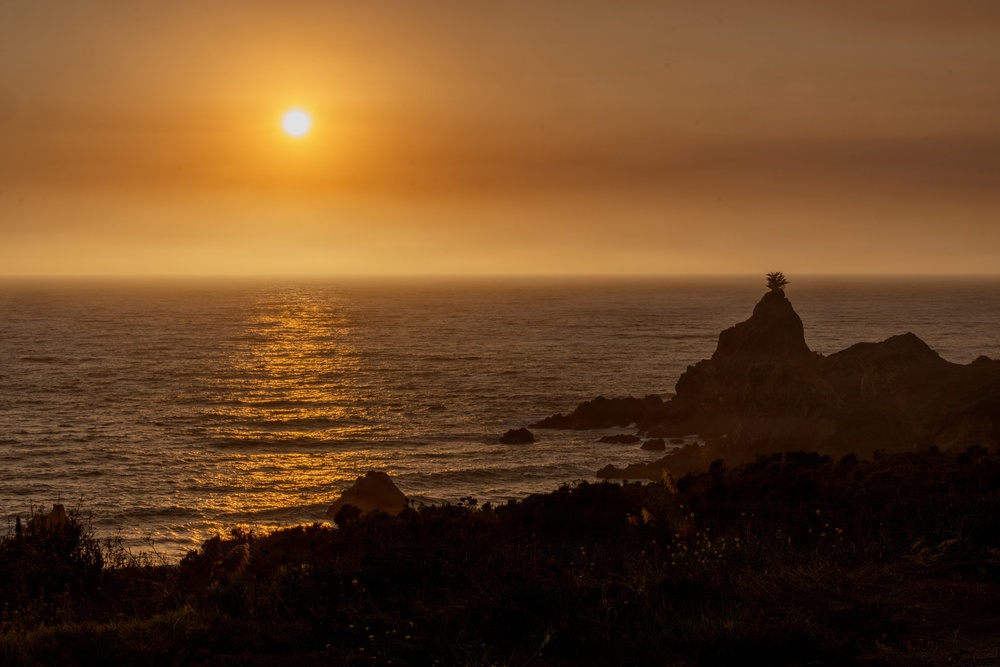 A coastal sunset scene captured from an elevated vantage point overlooking the ocean. The sun sits low on the horizon, casting a warm golden-orange glow across the water and sky, with a prominent rocky outcropping silhouetted in the foreground. A small tree or shrub is visible atop the largest rock formation, adding a distinctive detail to the silhouette.