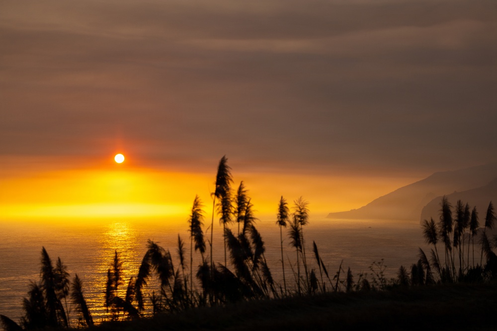 A dramatic coastal sunset scene captured with tall reed or pampas grass silhouetted in the foreground. The sun sits low on the horizon over a calm body of water, casting intense orange and yellow light across the scene. A hazy, smoke-filled or foggy atmosphere diffuses the light and partially obscures distant coastal cliffs or mountains.