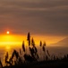 A dramatic coastal sunset scene captured with tall reed or pampas grass silhouetted in the foreground. The sun sits low on the horizon over a calm body of water, casting intense orange and yellow light across the scene. A hazy, smoke-filled or foggy atmosphere diffuses the light and partially obscures distant coastal cliffs or mountains.