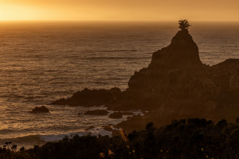 A dramatic coastal sunset scene featuring a prominent rocky sea stack with a single tree silhouetted at its peak against a warm golden-orange sky. The image captures rugged coastline with scattered rocks and breaking waves in the foreground, bathed in the rich amber tones of a setting sun over the ocean horizon. The composition creates a striking contrast between the dark silhouetted landforms and the luminous, glowing sky and sea.