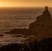 A dramatic coastal sunset scene featuring a prominent rocky sea stack with a single tree silhouetted at its peak against a warm golden-orange sky. The image captures rugged coastline with scattered rocks and breaking waves in the foreground, bathed in the rich amber tones of a setting sun over the ocean horizon. The composition creates a striking contrast between the dark silhouetted landforms and the luminous, glowing sky and sea.