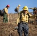Plaskett Fire