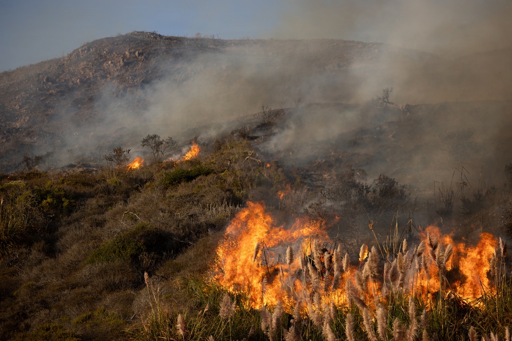 A wildfire is actively burning across a hillside and foreground vegetation, with large orange flames consuming dry grasses and shrubs. Thick gray and brown smoke billows upward and obscures much of the hilltop. The fire appears to be spreading across multiple elevation levels, from the foreground grassland up the rocky slope.