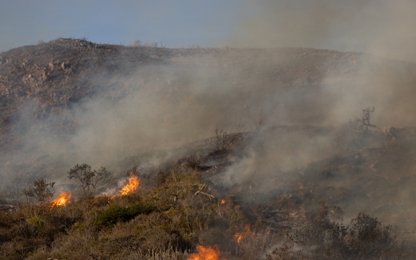 Plaskett Fire