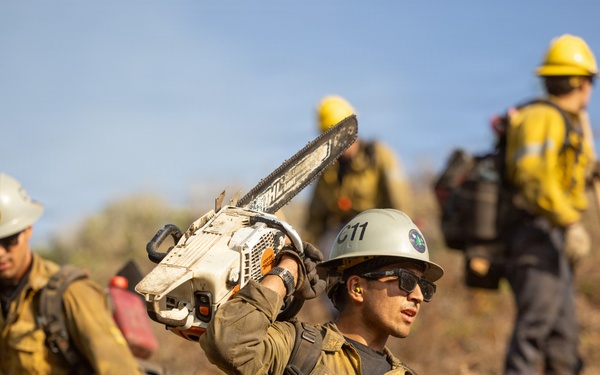Plaskett Fire