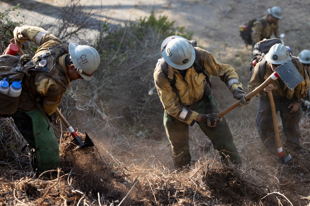 A crew of wildland firefighters wearing yellow Nomex protective gear and white hard hats are actively digging a fire line or containment trench in dry, brushy terrain. The workers are using hand tools including shovels and a Pulaski axe to clear vegetation and expose mineral soil. At least four crew members are visible, with dust rising from their digging activity.