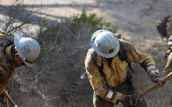 Plaskett Fire