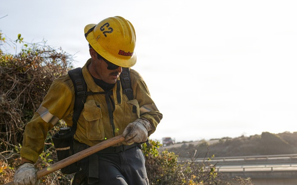 Plaskett Fire