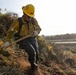 A wildland firefighter wearing standard yellow Nomex fire-resistant gear and a yellow hard hat marked 'C2' is using a Pulaski axe-hoe tool to cut a firebreak on a steep, dry hillside. The worker appears to be part of a hand crew performing line construction or mop-up operations near a highway overpass or bridge visible in the background. The terrain is covered in dry, dead brush consistent with fire-prone chaparral vegetation.
