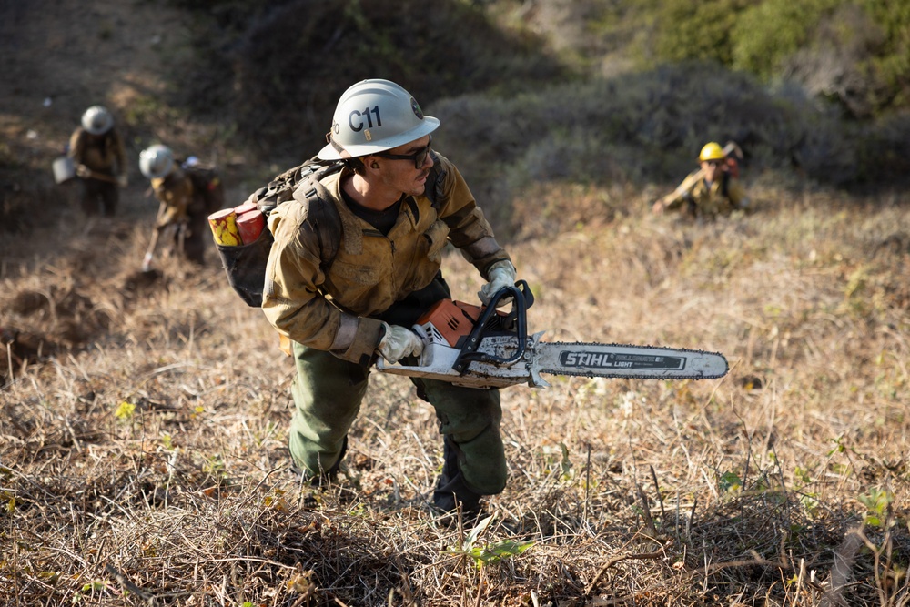 A wildland firefighter wearing a white helmet marked 'C11' carries a STIHL chainsaw while moving across dry, grassy terrain. The worker is equipped with standard wildland firefighting gear including a yellow Nomex shirt, green pants, gloves, and a backpack with a fuel canister. Additional crew members are visible in the background, suggesting a coordinated fire suppression or fuel reduction operation.