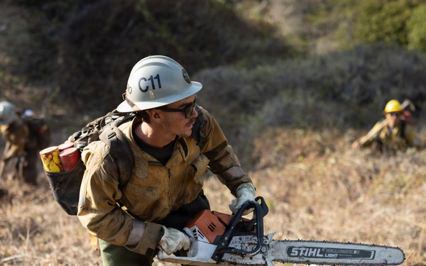 Plaskett Fire