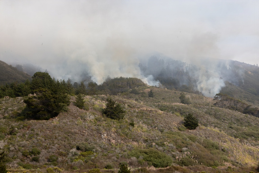 A hillside landscape showing an active wildfire or controlled burn in progress, with multiple columns of white-gray smoke rising from the mid-slope tree line. The foreground shows dry, scrubby vegetation and scattered conifer trees on a sloping terrain. Smoke has spread across the upper portion of the image, partially obscuring the sky and upper hillside.