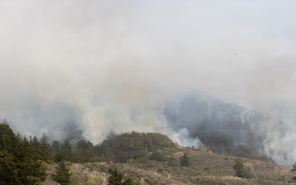 Plaskett Fire
