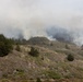 A hillside landscape showing an active wildfire or controlled burn in progress, with multiple columns of white-gray smoke rising from the mid-slope tree line. The foreground shows dry, scrubby vegetation and scattered conifer trees on a sloping terrain. Smoke has spread across the upper portion of the image, partially obscuring the sky and upper hillside.