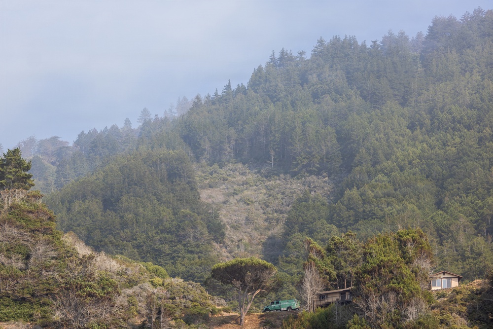 A misty, forested hillside dominates the scene with dense coniferous trees extending up toward a fog-covered ridgeline. In the lower right foreground, a wooden structure (house or cabin) is partially visible among the trees, accompanied by a green vehicle on a dirt path. The overall atmosphere is overcast and hazy, suggesting a coastal or Pacific Northwest environment.