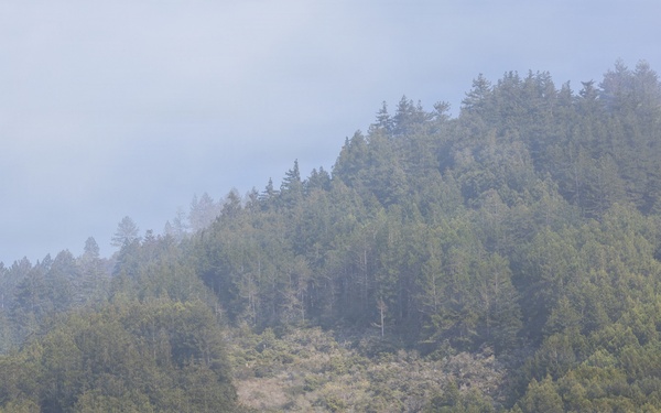 Plaskett Fire