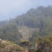 A misty, forested hillside dominates the scene with dense coniferous trees extending up toward a fog-covered ridgeline. In the lower right foreground, a wooden structure (house or cabin) is partially visible among the trees, accompanied by a green vehicle on a dirt path. The overall atmosphere is overcast and hazy, suggesting a coastal or Pacific Northwest environment.