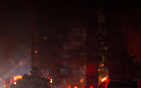 Timber Fire
